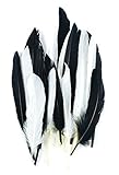 Touch of Nature 24-Piece Mini Indian Feathers for Crafting, 3-Inch, Black/White Mix