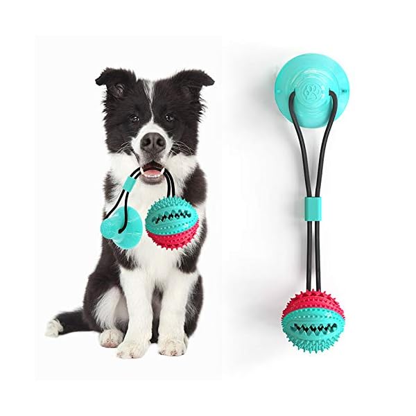 suction cup dog ball