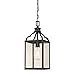 Westinghouse 6359300 Cardinal One-Light, Oil Rubbed Bronze Finish with Highlights and Clear Seeded Glass Outdoor Pendant, Black