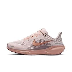 Nike Women's Pegasus 41 Sneaker, Silt Red/Metallic