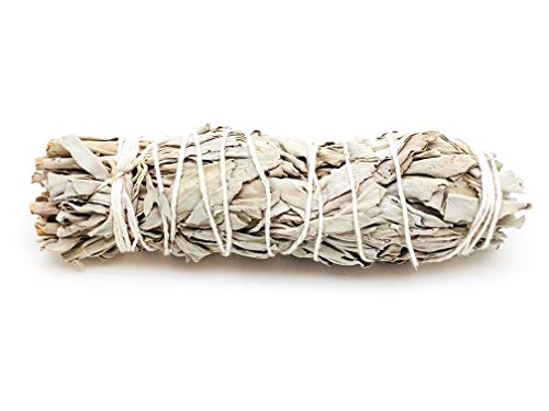 Resin Incense Set: Palo Santo, Altar Blend, Sweet Myrrh, White Copal, Frankincense, 7 Arcangeles, Benzoin, Ethiopian Frankincense | White Sage, Charcoal Tablets, Tong, Brass Hanging Censer Burner