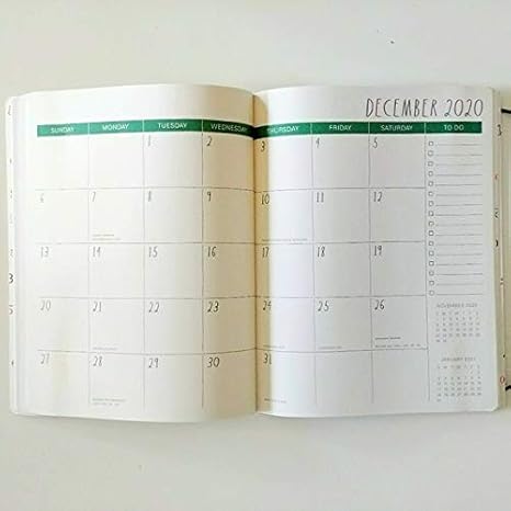 Amazon.com : Rae Dunn Best Year Ever - 2020 Monthly Planner ...
