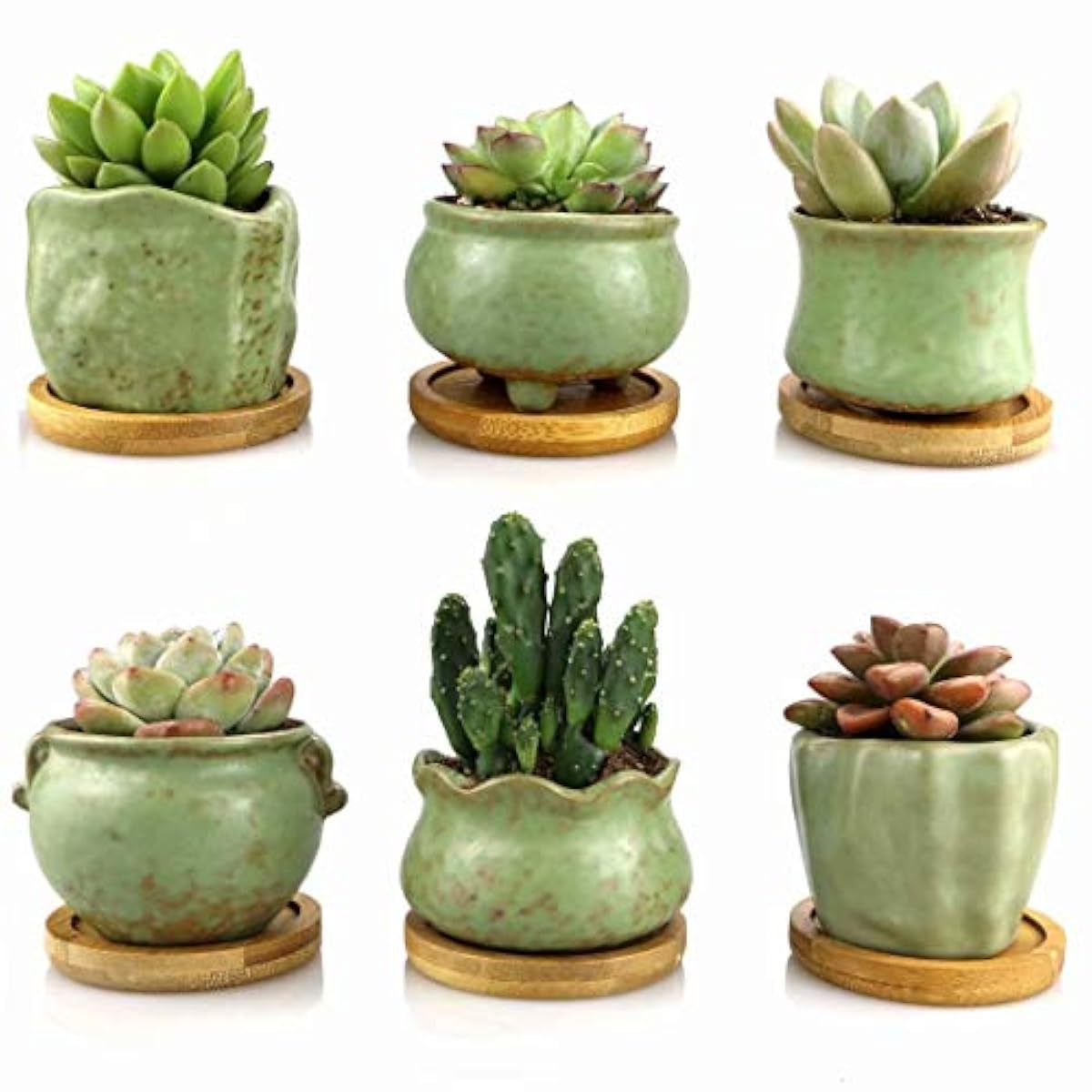 Succulent Planter Pots Bamboo Tray Jomass 2.753" Small Succulent Planter Pots Bamboo Tray Jomass 2.753" Small
