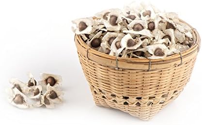 Bonsai Tree Suaveolen Celosia Cristata 10pcs/Bag Moringa Moringa oleifera Vegetable Edible Bonsai Potted Moringa Tree DIY Plant for Home Garden