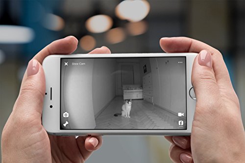 Petcube-Bites-Wi-Fi-Pet-Camera-with-Treat-Dispenser-2-Way-Audio-HD-1080p-Video-and-Night-Vision-for-dogs-and-cats-Works-with-Amazon-Alexa-As-seen-on-Ellen