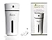FREE AND HEALTHY LIFE Portable USB Humidifier Essential Oil Diffuser (Black Accent) Car Office Nightstand Aromatherapy Travel LED Light 300ml