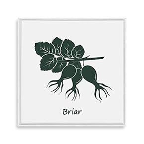 Framed Canvas Wall Art for Living Room, Bedroom Nordic Style Plants Theme Canvas Prints for Home Decoration Ready to Hang - 16x16 inches