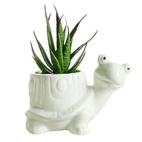 GeLive Tortoise Succulent Planter Turtle Plant Pot Animal Fun Vase Window Box Cute Home Decoration