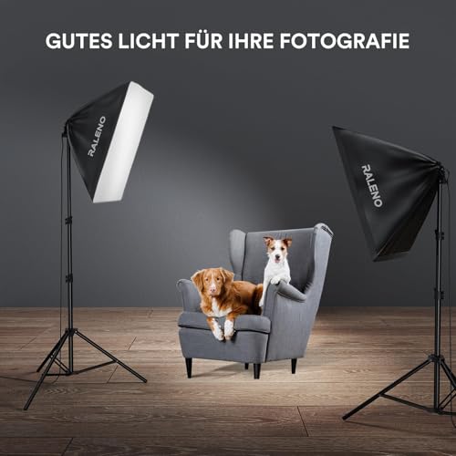 RALENO Studio Softbox Lighting Kit Photography, 2 x 50 x 50 cm Continuous Lighting Equipment with 50W LED Bulb, Universal Tripod Mount, Fabric Bag for Photo Studio Equipment