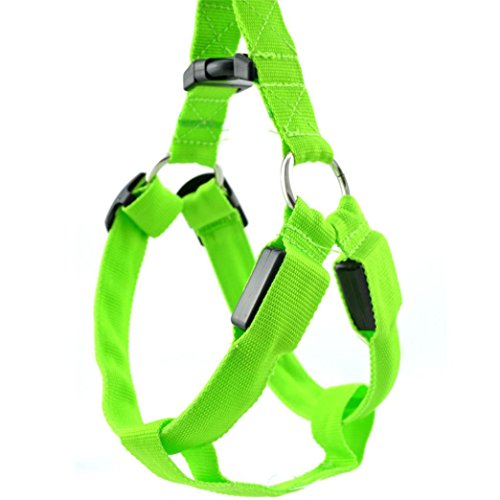 SMYTShop LED Flashing Dog Walking Belt Harness Leash Strong Nylon Webbing Tether Pet Safety Collar Comfortable Strap Vest for Large Medium Dog (Green, S)