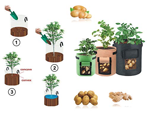 Potato Grow Bags, 3 Pack 5, 7 & 10 Gallons Garden Planting Bags, Vegetables Planter Bags, Non-Woven Aeration Fabric Pot Growing Bags with Handle and Access Flap with a Pair of Gardening Genie Gloves