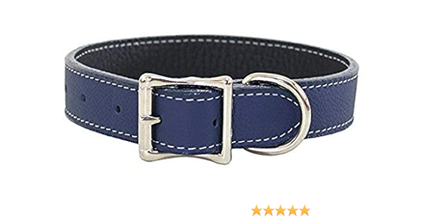 blue leather collar