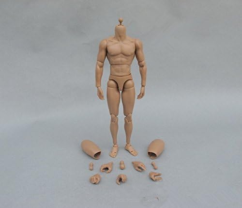 MiaoDuo 1/6 Scale Asia Male Muscular Strong Muscle Male Body 12" Action Figure Body Hot Toys