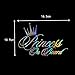 KANWAWO Laser Car Stickers and Decals Princess ON Board Stickers for Girl Car Styling Bumper Stickers Car Body Door Window Stickers Vinyl Stickers Decals (2pcs Princess ON Board, 165 x 109 mm)