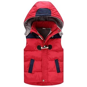 Kindervest winter capuchonvest jongens meisjes donsvest mouwloos winterjas voor 2-6 jaar