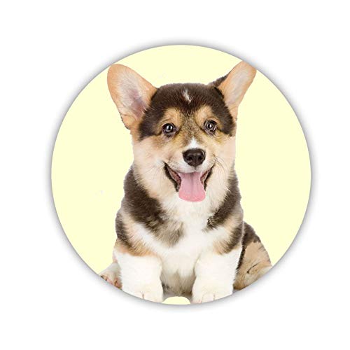 Babu Building Original for Coaster Circle Boy Print Welsh Corgi MDF Material