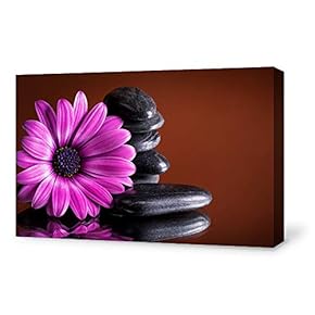 for Living Room Bedroom Home Artwork Paintings Orchid SPA Backgrounds