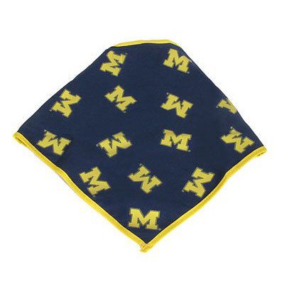 Dog Bandana #2 - University of Michigan