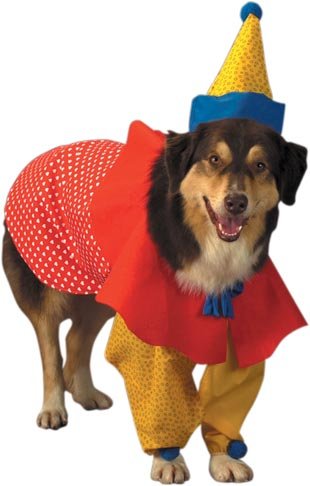 Pet Clown Dog Costume (Size: Medium) by Pet Friendzy