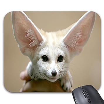 Amazoncom Simty 106 Mousepads Cute Baby Fennec Fox Puppy Mouse Amazoncom Simty 106 Mousepads Cute Baby Fennec Fox Puppy Mouse