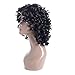 Synthetic Afro Curly Hair Wigs for Black Woman Short Kinky Hair Jet Black Heat Resistance Fiber 14