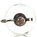 Purism Style Plant Mister- Clear Color Glass Bottle & Brass Sprayer (Antique Copper)
