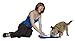 Nina Ottosson DogFinder Interactive game