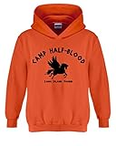 Artix Camp Half-Blood Unisex Hoodie Long Island Sound Sweatshirts