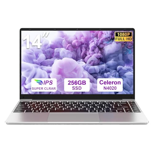 2026 PC Portatile 14 Pollici Laptop Win 11 256 GB ROM N4020 2.4G+5G-Argento