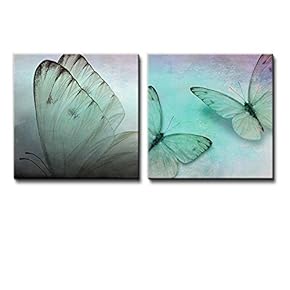 Wall26-2 Piece an Up Close View of a Butterfly and Two Butterflies Exposed on Canvas - Canvas Art Home Art - 12x12 inches