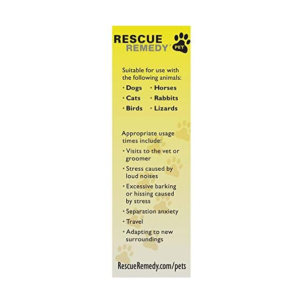 Bach-Pet-Rescue-Remedy-10-ml Bach Pet Rescue Remedy, 10 ml