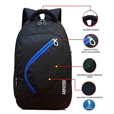 DREAMZ STYLISH 32 Ltrs Casual Backpack/I School Bags(Black)