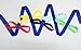 YCT Walking Rope -10 Colorful Handles (A)