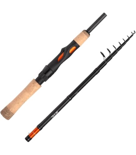 Amazon.com : Shimano Exage BX STC Mini Tele 1.80 m/14 : Sports