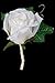 White Silk Rose Flower Boutonniere with Cream Ribbon High End Quality