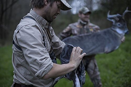 The Freshman (Whitetail Buck) by Montana Decoy in Oman Whizz Decoys