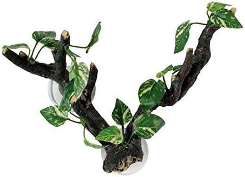 Lapwater Aquatics FP28463 Décoration pour aquarium/vivarium montée sur ventouses Design branche avec feuilles en soie 25 cm