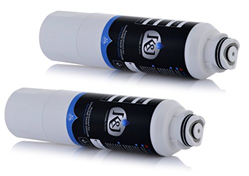 Samsung Compatible Refrigerator Water Filters for DA2900020B, RF263BEAESR, and RF28HMEDBSR - Samsung HAF-CIN/EXP and 46-9101 Compatible Refrigerator Water Filters, NSF 42 Certified (2 Pack)