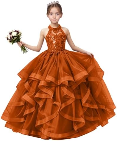 shuorui pageant princess dresses multi layer SHUORUI Girls Pageant Embroidery Prom Gown Princess Guyana