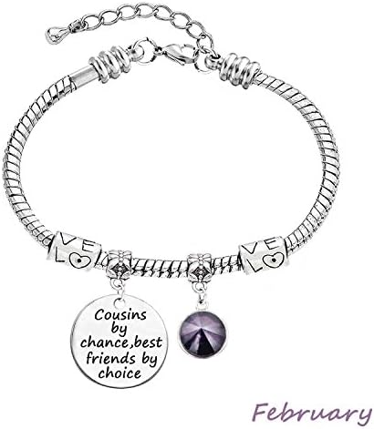 LINKY Stainless steel Snake Chain Bracelet ,Birthstone Crystals Bracelet,Cousin Gift, Cousin Jewelry Bracelet,Cousins by Chance,Best Friends by Choice Bracelet (B February)