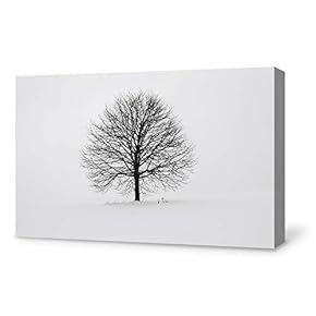 for Living Room Bedroom Home Artwork Paintings Life Theme