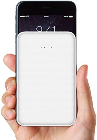 10000mAh Power Bank Portable Charger with 2-Port Output External Battery Pack for iPhone X 8 7 6 Plus iPad Samsung OPPO R9 and more Android cell phone