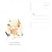 60 Postcards - Watercolor Birthday Animal - 6 Different Images