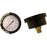 Amazon.com: Pentair 190059 Rear Mount Pressure Gauge
