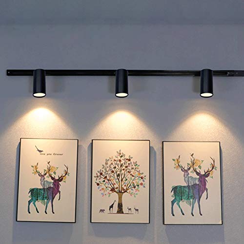 GALYGG LED Track Lighting Heads Black Spotlight, 3 - Wire Light Fixtures, 30W 3000LM 3000K Warm White, for Wall Art Exhibition