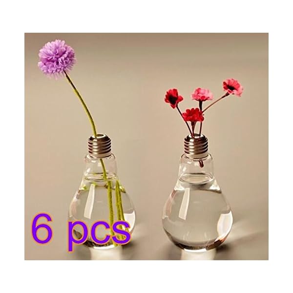 Cdet 6X Bombilla florero de Vidrio floreros de terrario Lindas macetas
