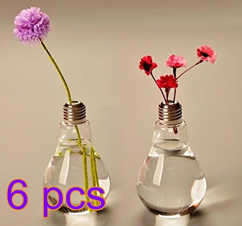 Cdet 6X Bombilla florero de Vidrio floreros de terrario Lindas macetas