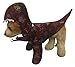 California Costumes Pet Raptor Dog Costume