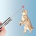 Multi-pattern Funny Cat Chaser Toy LED Light Interactive Chase Cat Toys, Used as LED Flashlight, Command Light Pet Training Tools-USB Rechargeable,Crazy chase !