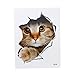 ULAKY 3D Animal Pet Wall Stickers Vivid Loch View Cute Cats Ctickers 3D Animal Pet Decorative Bathroom Wall Stickers Personality Home Decor